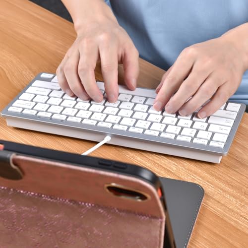 MCSaite Small USB C Keyboard - Plug & Play Compatible Wired Keyboard for Mac mini, MacBook Pro/Air, iMac, iPad, Windows, Chromebook with USBC Port - Compact & Mini USB Type C - Silver