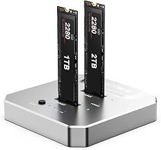 ACASIS 20Gbps M.2 NVMe SSD Cloner & Docking Station, Dual-Bay Duplicator - Image 1