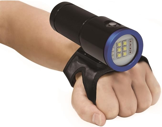Bigblue VL 4600 Lumen Video Light w/Blue Light Mode - Black