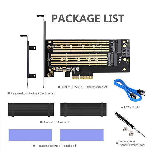 Dual M.2 PCIE Adapter for SATA or PCIE NVMe SSD with Heat Sink Solution