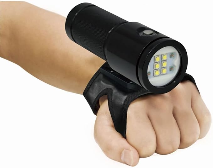 Bigblue 4600-Lumen Video Light