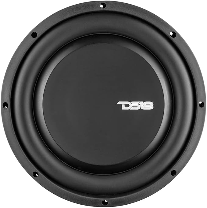 DS18 PSW10.2D 10" Shallow Mount Subwoofer 1000 Watts Max Power 500 Watts RMS Dual Voice Coil 2+2 OHMS Water Resistant - Best Sub for Tight Spaces in Car & Trucks - 1 Speaker