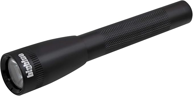 BigBlue AL250 250 Lumen Waterproof LED Flashlight