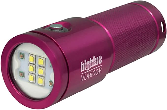 Bigblue 4600-Lumen Video Light