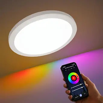 12 Inch Smart Ceiling Light, 2400LM Dimmable Flush Mount Ceiling Light