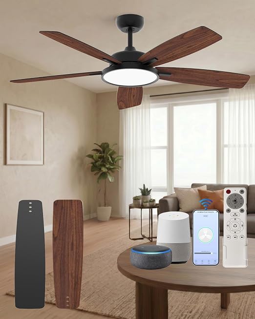Roomratv Smart Ceiling Fan Compatible with App/Alexa/Google home,Black