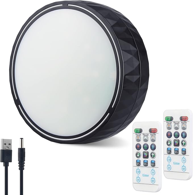 Battery Operated Ceiling Light, Wireless Shower Light with Remote