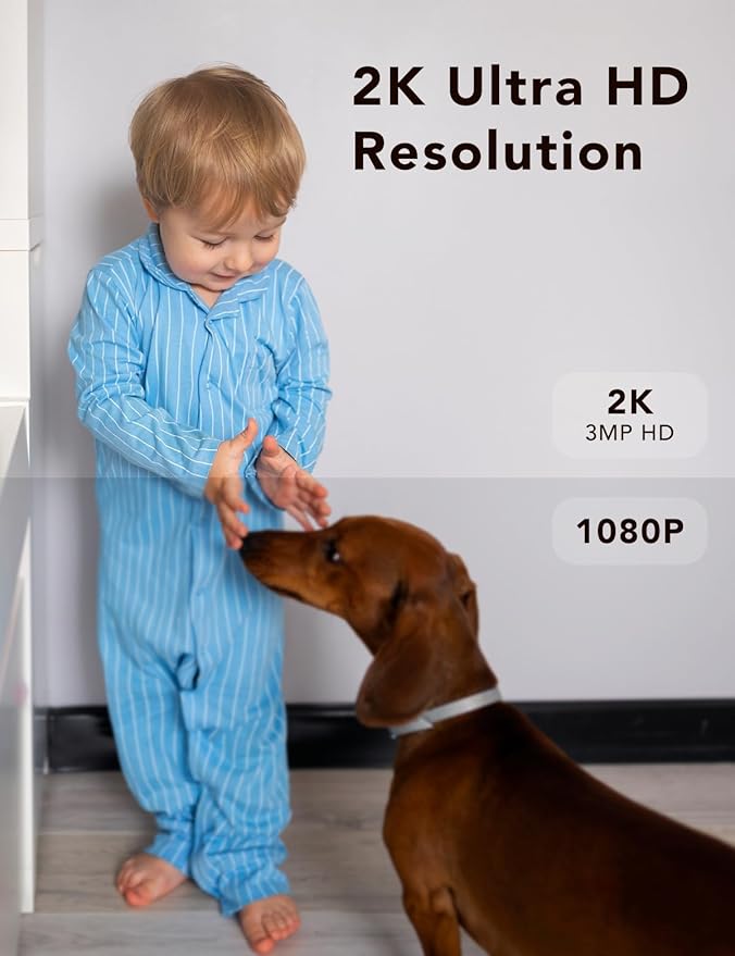 2K Security Camera, Outdoor/Indoor for Home, Pet, Baby, Nanny, IP65 Wterproof Color Night Vision, White Light & Siren, Recording, Motion Detection, Compatible with Alexa,Black