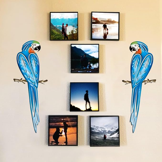 EiGreen Metal Bird Wall Art Decor 3D Outdoor parrot Sculpture, Hanging Garden Metal Wall Decor Suitable for Gardens Fence Patio Living Room Bedroom Yard Gift