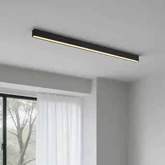 Black ceiling light LED, used for living room, bedroom, hallway, kitchen,