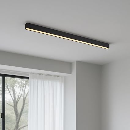 Black ceiling light LED, used for living room, bedroom, hallway, kitchen,