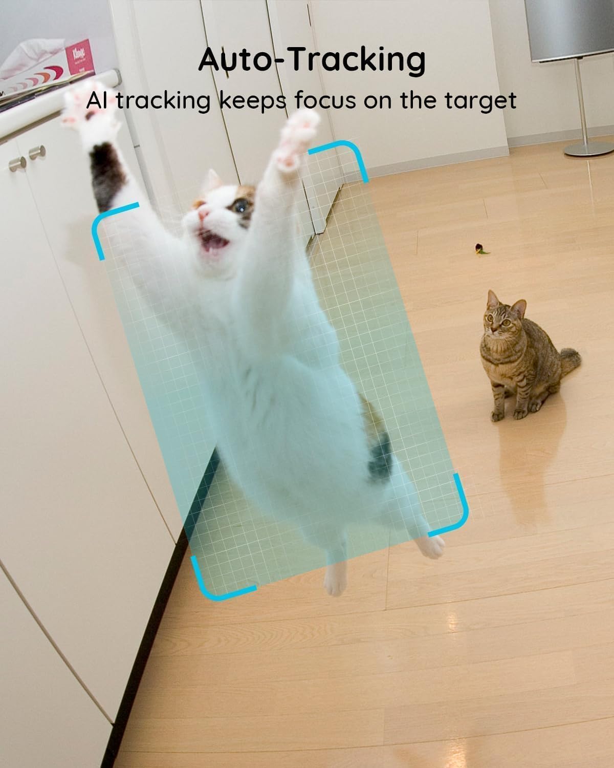 Indoor WiFi Security Camera Dual-Lens 360° PTZ No Subscription Motion Tracking and Night Vision