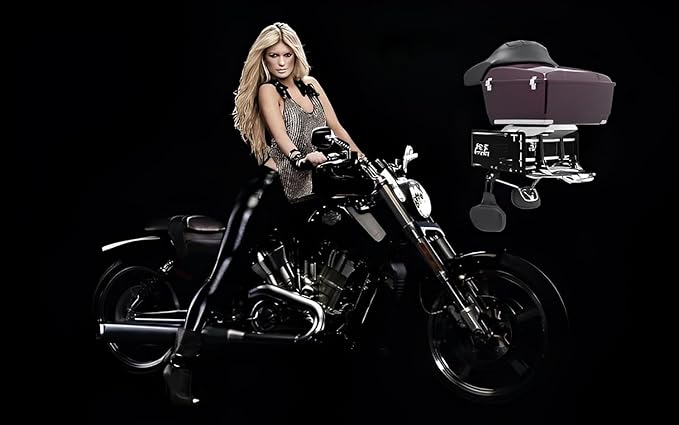 Wall Mount Storage Luggage Rack/Tour Trunk Pack Pak for Harley Touring, Road King, Road Glide, Electra Glide, Street Glide, Sportster, Softail, Dyna Models(Luggage Rack-3)