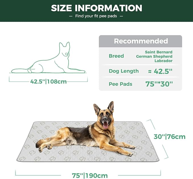 FXW Washable Pee Pads for Dogs, Puppy Pads with Super Absorbent, Specifically Designed for Potty Training, 30" x 75" Rectangle, Khaki, 2 Packs