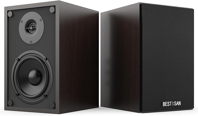 BESTISAN Bluetooth Bookshelf Speakers with RCA Input, Record Player Speakers with Sub Out Port for SW65C/ SW65D,4 Inch Woofer, SR04F-01