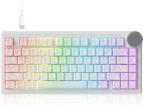 AK820 V2 8KHz Magnetic Mechanical Keyboard Bingyu Hall Effect Rapid Trigger