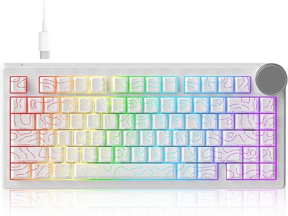 AK820 V2 8KHz Magnetic Mechanical Keyboard Bingyu Hall Effect Rapid Trigger