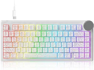 AK820 V2 8KHz Magnetic Mechanical Keyboard Bingyu Hall Effect Rapid Trigger