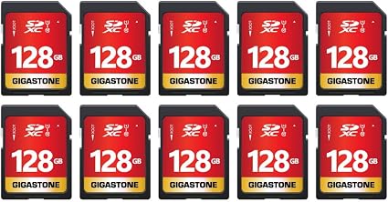 GIGASTONE 128GB SD Card 10-Pack UHS-I U1 Class 10 SDXC Memory Card Full HD Video for Digital Camera, Speed up to 80MB/s, Full-Sized SD Card, with 10 mini Cases
