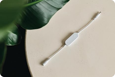 Tuya Smart Switch White