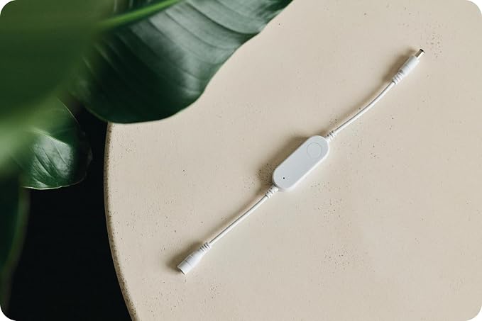 Tuya Smart Switch White