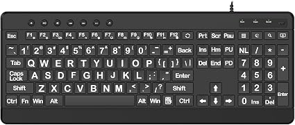 EDJO Large Print Ergonomic Keyboard, Full Size Keyboard with Wrist Rest, Silent Wired USB Computer Keyboards with Oversized Letter Keys Easy to See and Type for Laptop, PC, Windows, Desktop