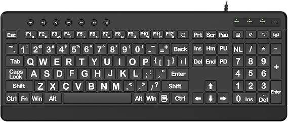 EDJO Large Print Ergonomic Keyboard, Full Size Keyboard with Wrist Rest, Silent Wired USB Computer Keyboards with Oversized Letter Keys Easy to See and Type for Laptop, PC, Windows, Desktop
