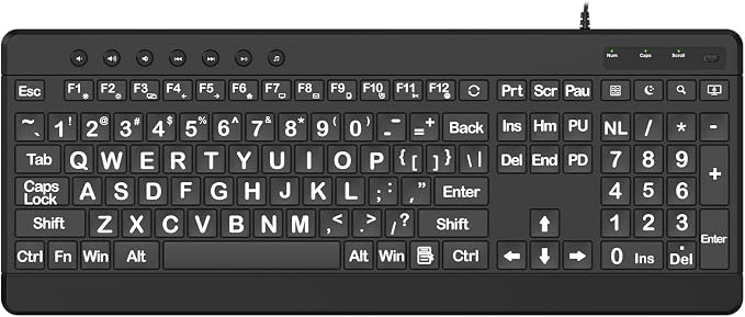 EDJO Large Print Ergonomic Keyboard, Full Size Keyboard with Wrist Rest, Silent Wired USB Computer Keyboards with Oversized Letter Keys Easy to See and Type for Laptop, PC, Windows, Desktop