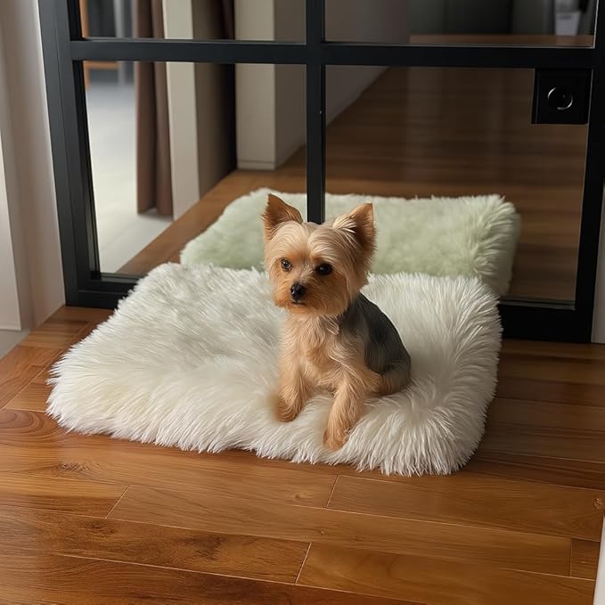 IHAPPYDOG Luxury Faux Fur Orthopedic Dog Beds, Memory Foam Crate Bed for Small, Medium, Large and XL Pets, Fluffy Pet Bed with Waterproof and Washable Cover, Fits Crates (White, 23"x18")