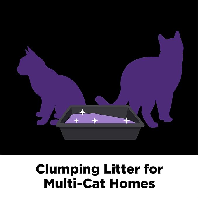 ARM & HAMMER Clump & Seal Slide Platinum Multi-Cat Clumping Cat Litter, 14-Day Odor Control, EZ Clean Technology, 27.5 lbs – No Scrubbing, Powerful Odor Eliminator