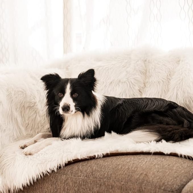 PupProtector Waterproof Throw Blanket for Dogs and Cats, Pet Blanket Cover for Couches, Sofas, Beds, Car Seats, Furniture, Calming Soft Faux Fur, Polar White, Large (80" L x 62" W)