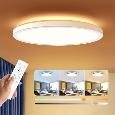 BLNAN Dimmable LED Flush Mount Ceiling Light Fixture with Remote Control, 12Inch 3000K-6500K Light Color Adjustable, Modern Ultra-Thin Ceiling Lamp for Bedroom Kitchen, Wired