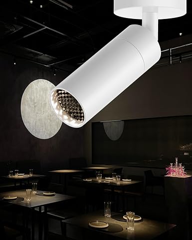 Led Modern Directional Spotlight, Zoomable Monopoint Ceiling Spot Light for Indoor Cafeteria Foyer Living Room Warm White