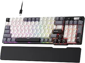 RK ROYAL KLUDGE C96 8K HE Mechanical Gaming Keyboard with Magnetic Switch
