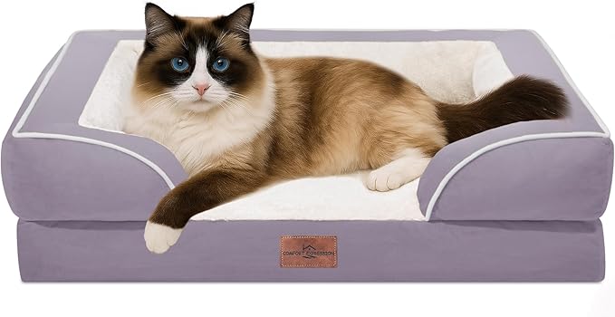 Comfort Expression Orthopedic Dog Bed for Small Dogs 20x14 Inch, Waterproof Supportive Egg Crate Foam Small Pet Bed with Removable Bolsters, Dog Couch with Washable Cover & Non-Slip Bottom, Purple