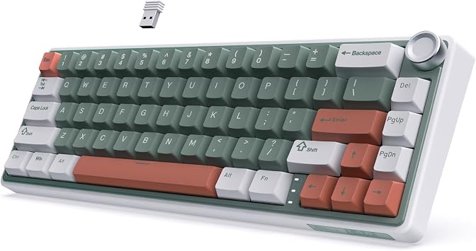 RK ROYAL KLUDGE R65 Wireless Mechanical Keyboard, 60% Keyboard with Knob