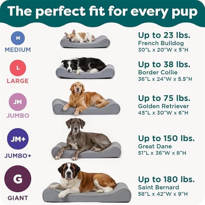 FurHaven Orthopedic Dog Bed for X-Large Dogs, Luxe Lounger Contour Mattress with Medical-Grade Solid Orthopedic Foam for Joint Support, Removable Washable Cover, Jumbo/XL, Plush Suede, Gray