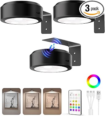 EZVALO Picture Lights for Wall, 2000mAh Rechargeable Battery Magnetic Poster Lights with 3 Color Temps & 12 RGB, Remote Dimmable Timer Painting Light, Wall Decor Light for Art Display, Frame (3 Pack)