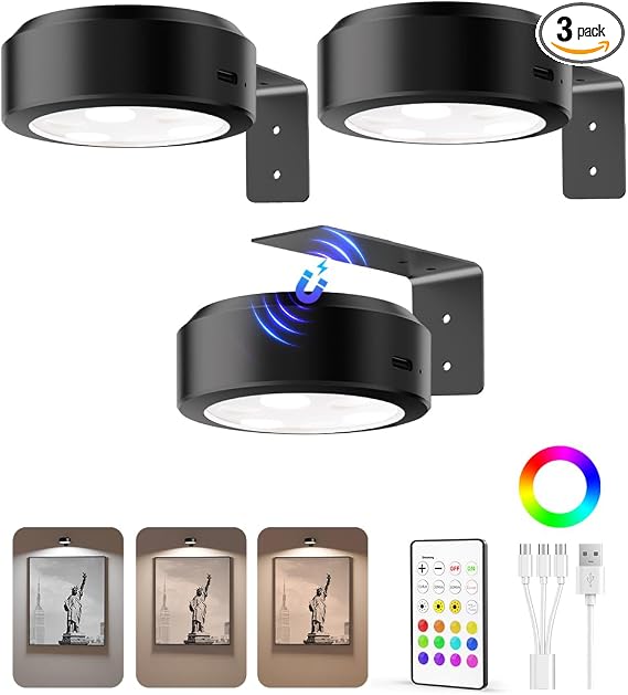 EZVALO Picture Lights for Wall, 2000mAh Rechargeable Battery Magnetic Poster Lights with 3 Color Temps & 12 RGB, Remote Dimmable Timer Painting Light, Wall Decor Light for Art Display, Frame (3 Pack)