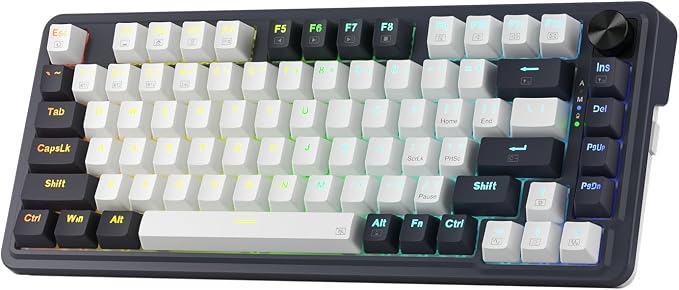 Redragon K673 PRO Wireless 81-Key RGB Gasket Gaming Keyboard, Scroll Knob
