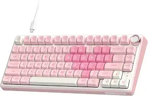 RK ROYAL KLUDGE R75 Mechanical Keyboard Wired with Volume Knob, 75% Keyboard Gasket Mounted, Hot Swappable, Creamy Sound, MDA Profile, PBT Keycaps, Pink