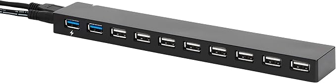 Amazon Basics USB 3.0 10-Port Hub with AC Adapter, 5Gbps Faster Data Transfer for Multiple Devices, Black