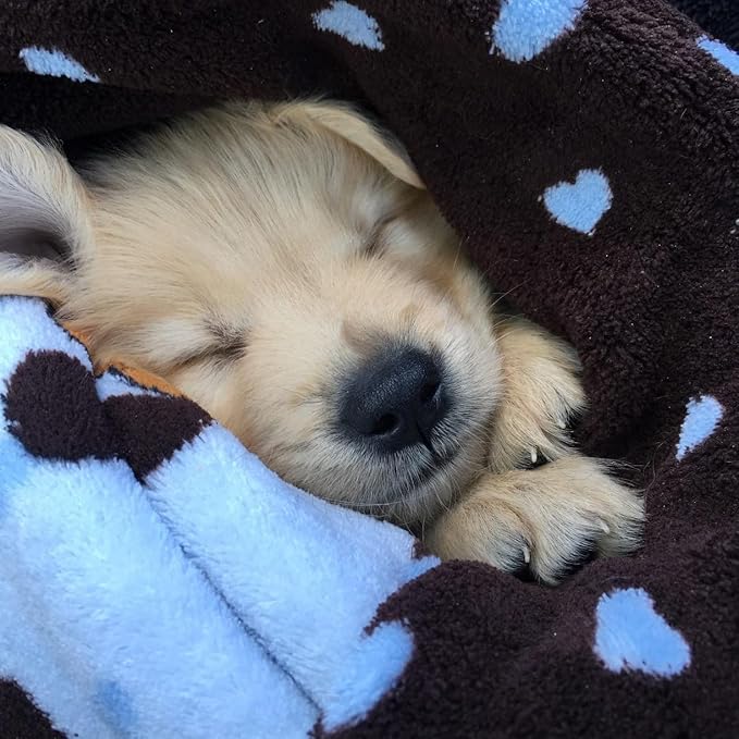 Snuggle Puppy Blanket for Pets - Cozy Dog Blanket for Small Dogs - Machine Washable Dog Blanket in Blue