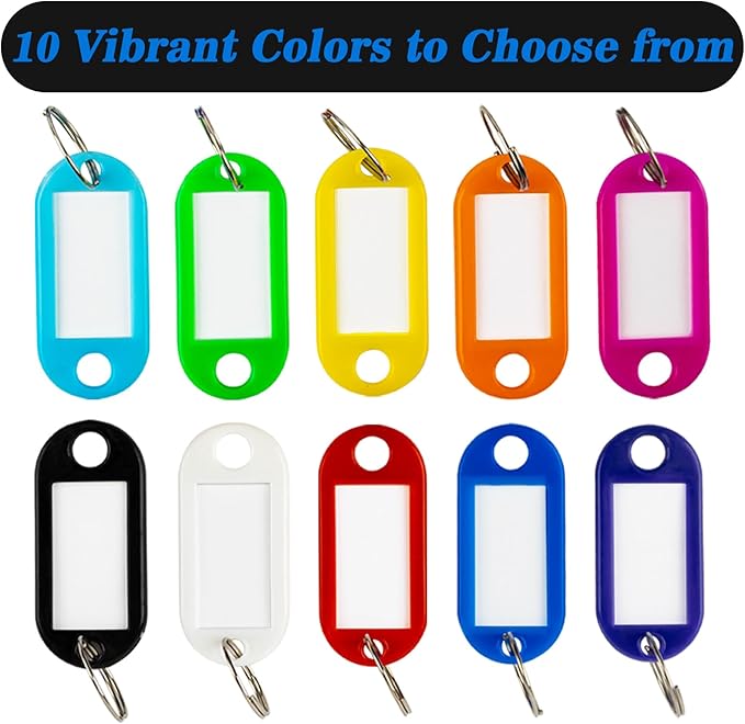 Sukh 100 PCS Key Ring Tags - Key Tags Plastic 10 Assorted Colours,Identifiers,Name and Labels,Adapt to USB Drive,Keys,Pets,Bags,Clothes Racks and Drawers,Rectangular 2.1x4.6cm