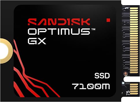 Sandisk Optimus GX 7100M 1TB NVMe SSD, PCIe 4.0, M.2 2230