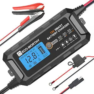 ECO-WORTHY 12V 5A Battery Charger for Lead Acid, Lithium (LiFePO4) Battery