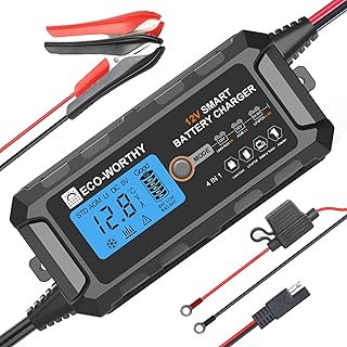 ECO-WORTHY 12V 5A Battery Charger for Lead Acid, Lithium (LiFePO4) Battery - Image 1