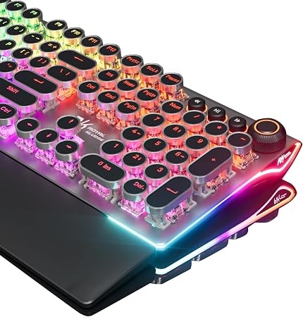 RK ROYAL KLUDGE X108 Typewriter Keyboard with Knob, Wired Mechanical Gaming Keyboard, 108 Keys RGB Backlit Sidelight, Detachable Wrist Rest, Retro Round Keycaps Blue Switches - Shadow Black