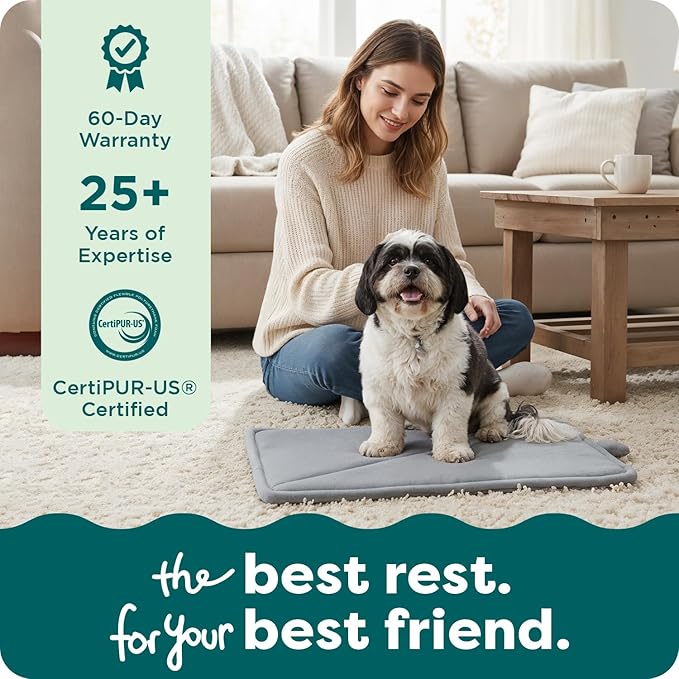 FurHaven ThermaNAP Self Warming Cat Mat/Dog Bed for Crates with Self-Warming Technology for Cozy Rest, Fully Machine Washable, Small, Plush Faux Fur, Gray