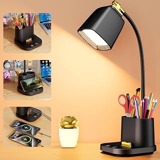 LED Desk Lamp for Dorm 2 USB Ports, Dorm Room Essentials, Small Table Lamp for Home Office, College Dorm Room Gifts, Gooseneck Desk Light with Charger Storage Box for Study, Reading, Craft, Work, Task